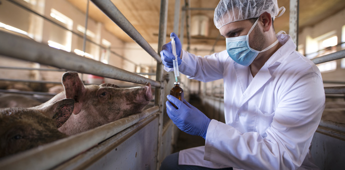 Сопровождение