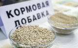 Россельхознадзор приостановил госрегистрацию китайской кормовой добавки