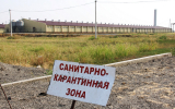 Биоотходы на ферме: как правильно утилизировать и не попасть под штраф